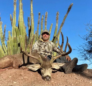 Notícias Paralelas tweet media