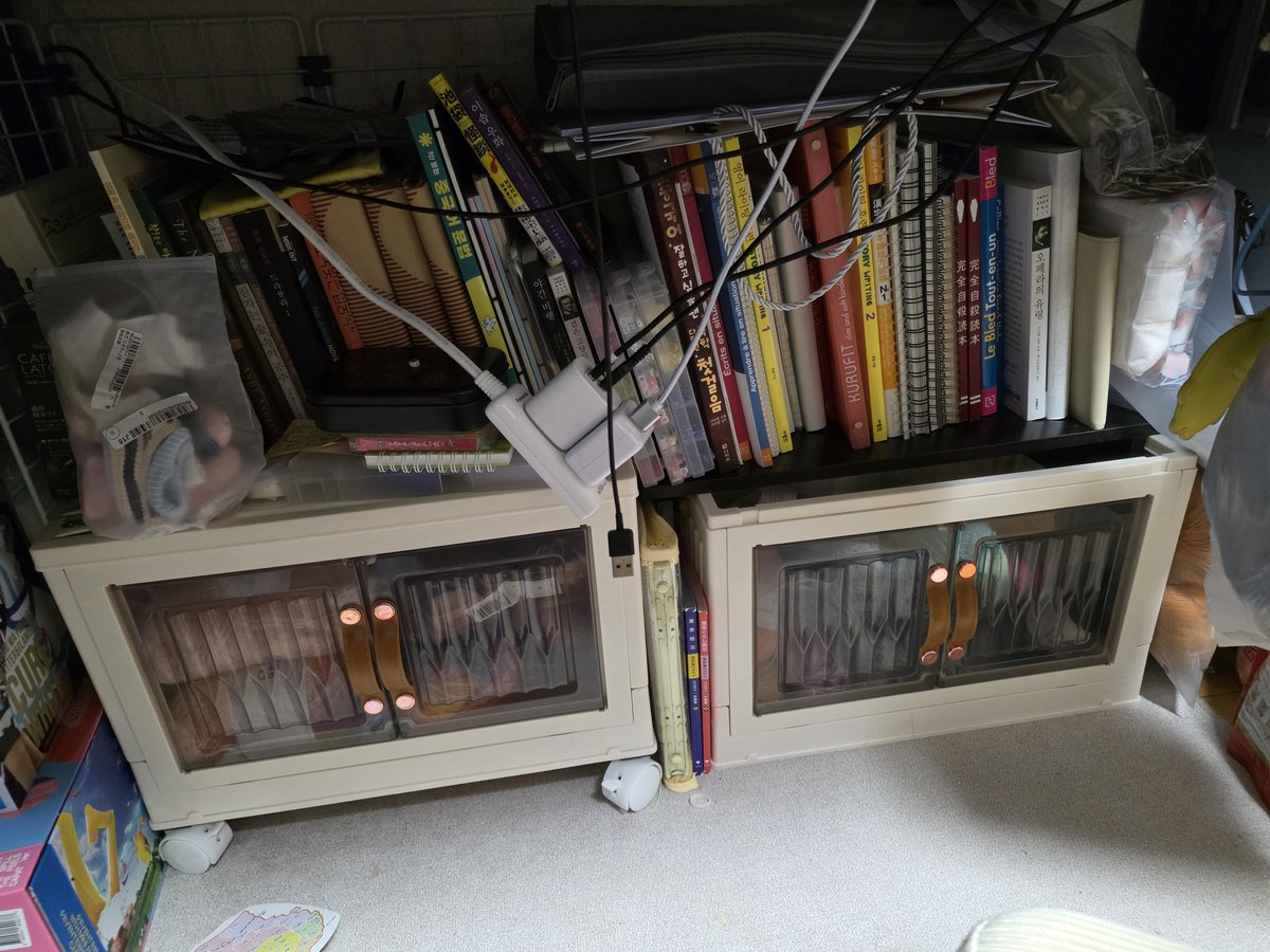 슈떡(상태: 캐럿) tweet media