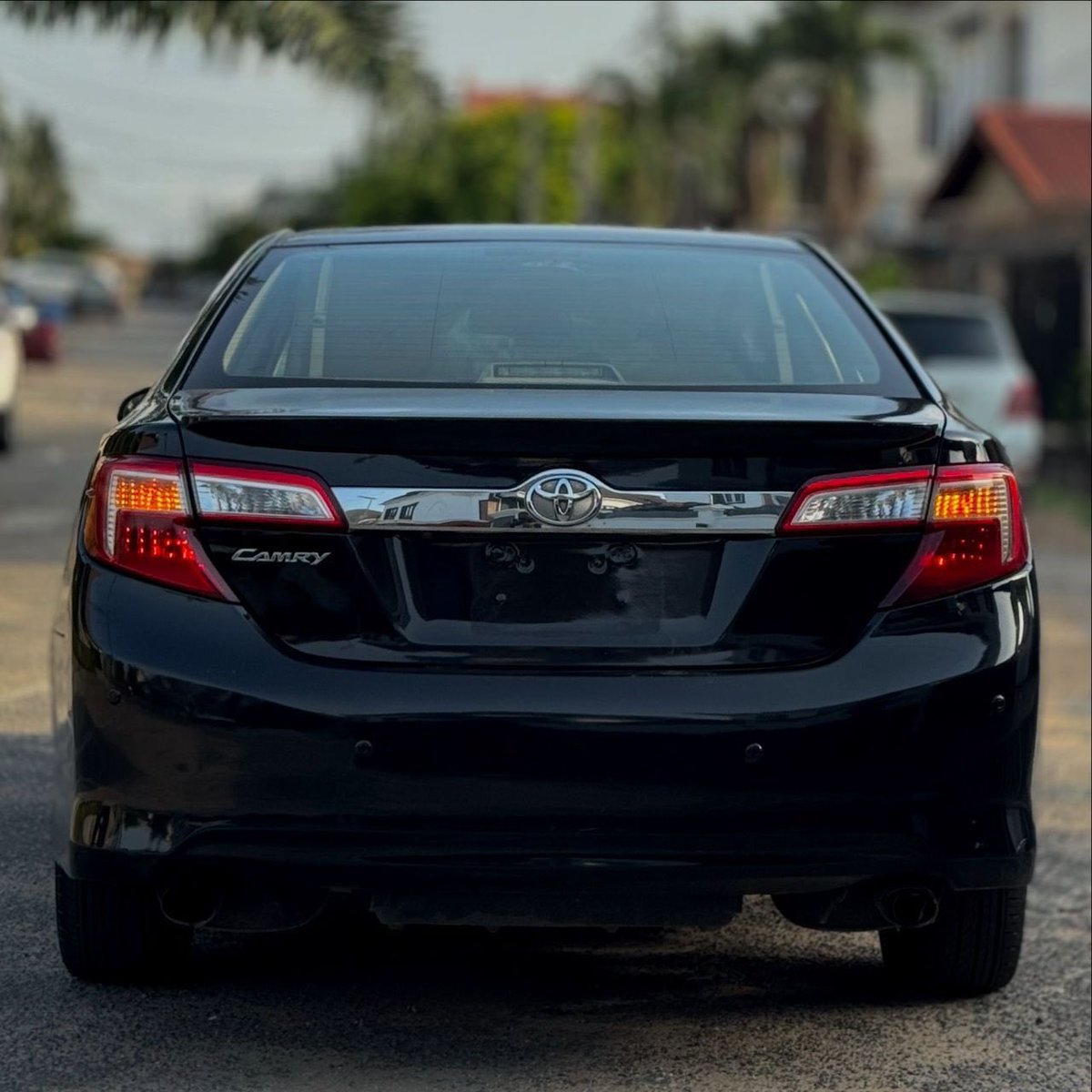 BLAIZE👑 tweet media