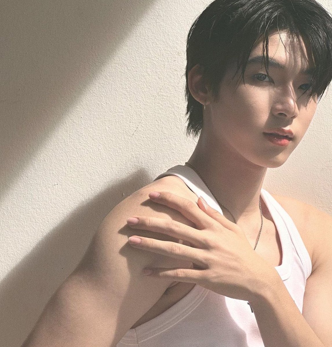 lim dwy era˚꒰🐾୭ ˚. ᵎᵎ tweet media