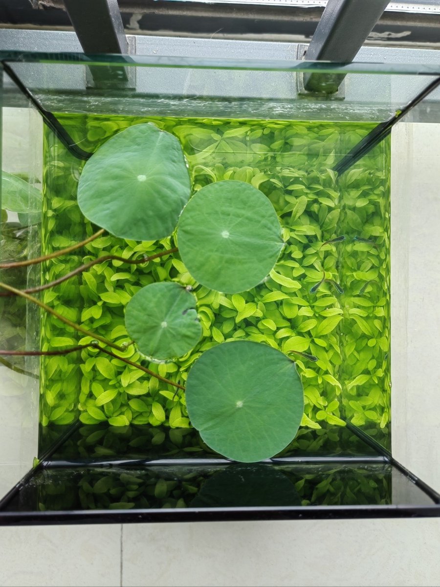 Katya Katya tweet media