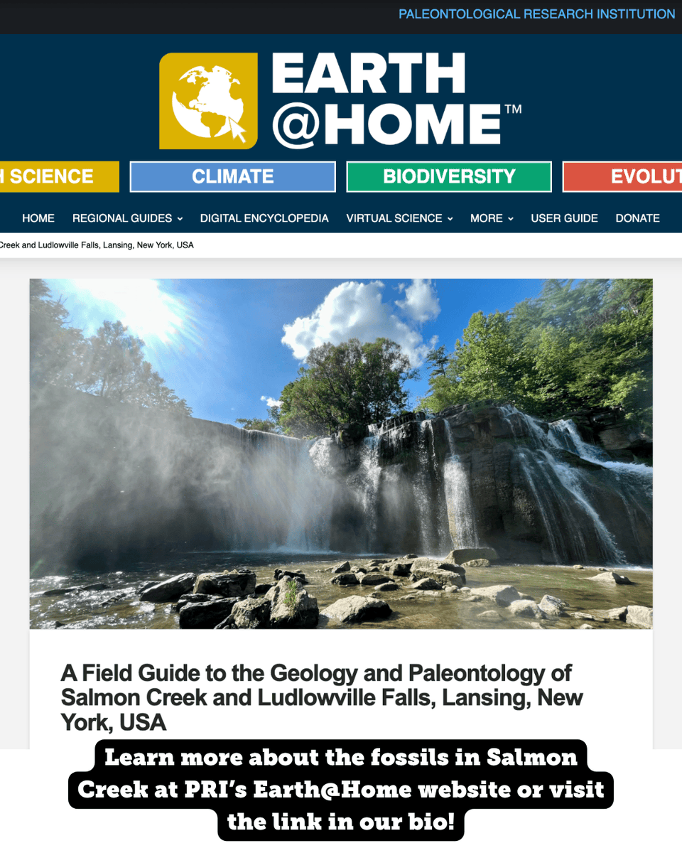 Paleontological Research Institution tweet media