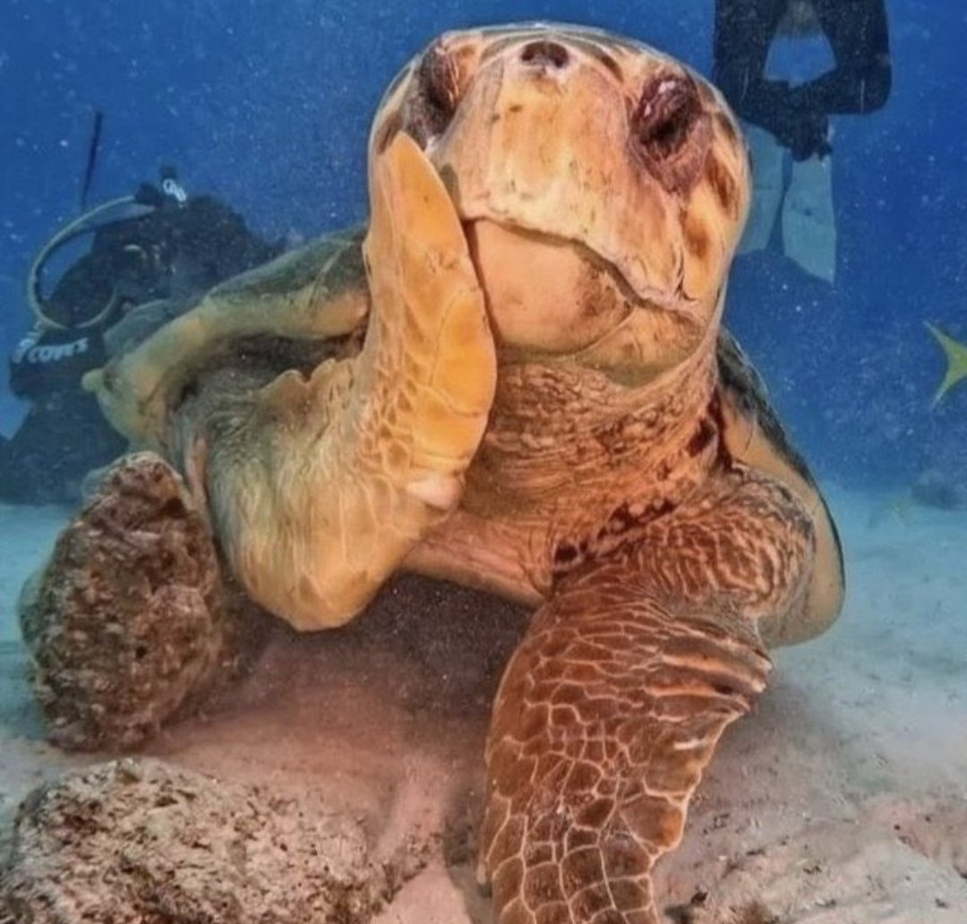 Drex 🫀 tweet media