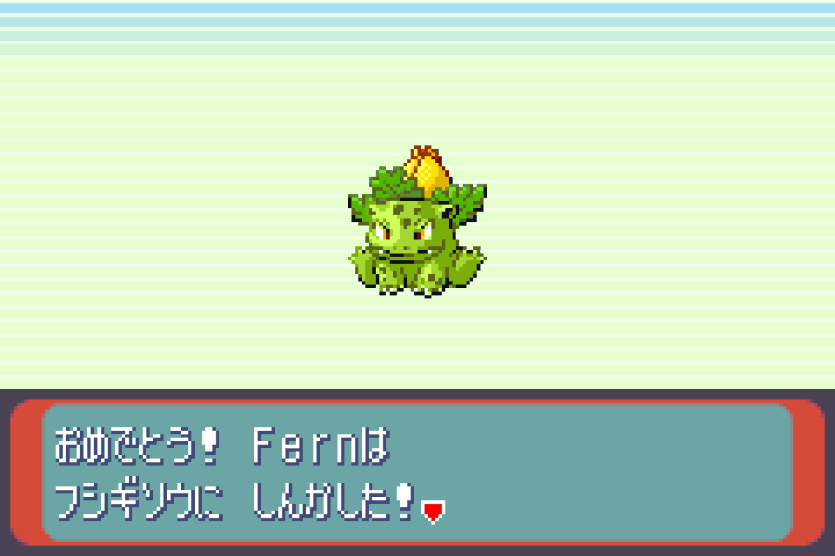 Shiny Bulbasaur, evolved into Ivysaur, obtained after 12,659 eggs on Pokémon Ruby. 
I named it Fern, after Grass Finn (Fern) from Adventure Time, a plant-based version of Finn connected to nature.   #EggMonth
RSE Shiny Living Dex 
20 / 413