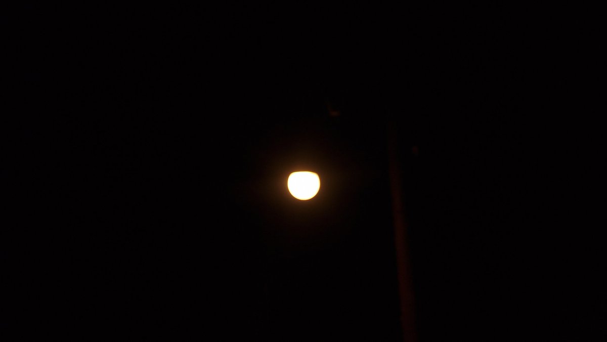 ShaktiKantTiwa1's tweet image. "कल सुबह की फिक्र किसे है, 
अभी तो इस अंधेरे साम्राज्य का सूरज हूँ मैं।"
#Photography
#nightlight 
@MYBharatHQ