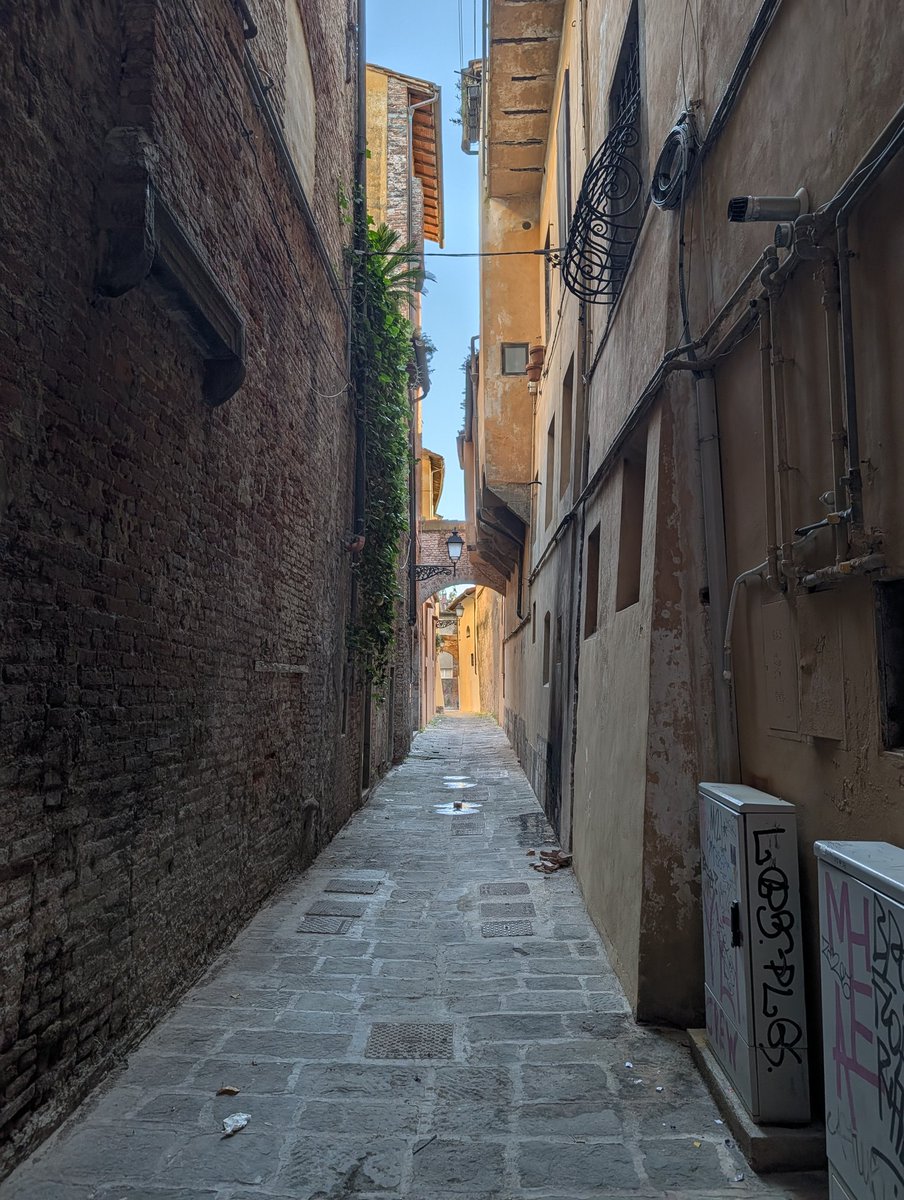 UVXYTrader tweet media