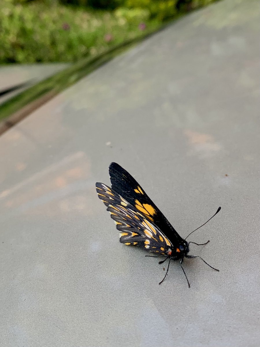 jaimesoler.bsky.social tweet media