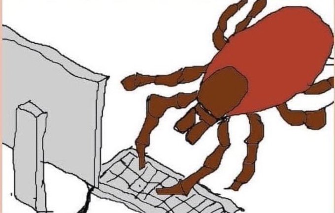 HoosierNationalist tweet media