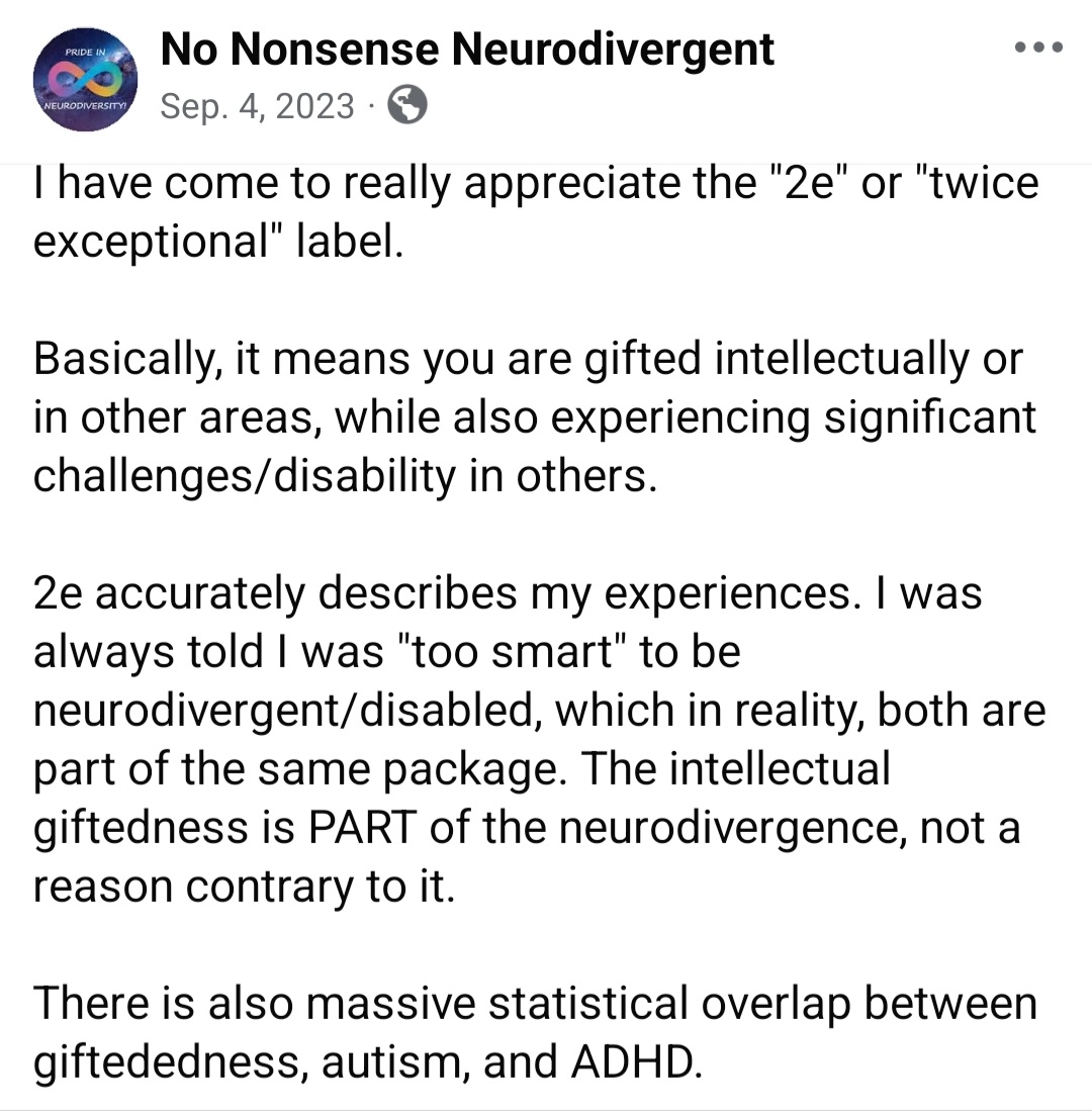 No Nonsense Neurodivergent tweet media