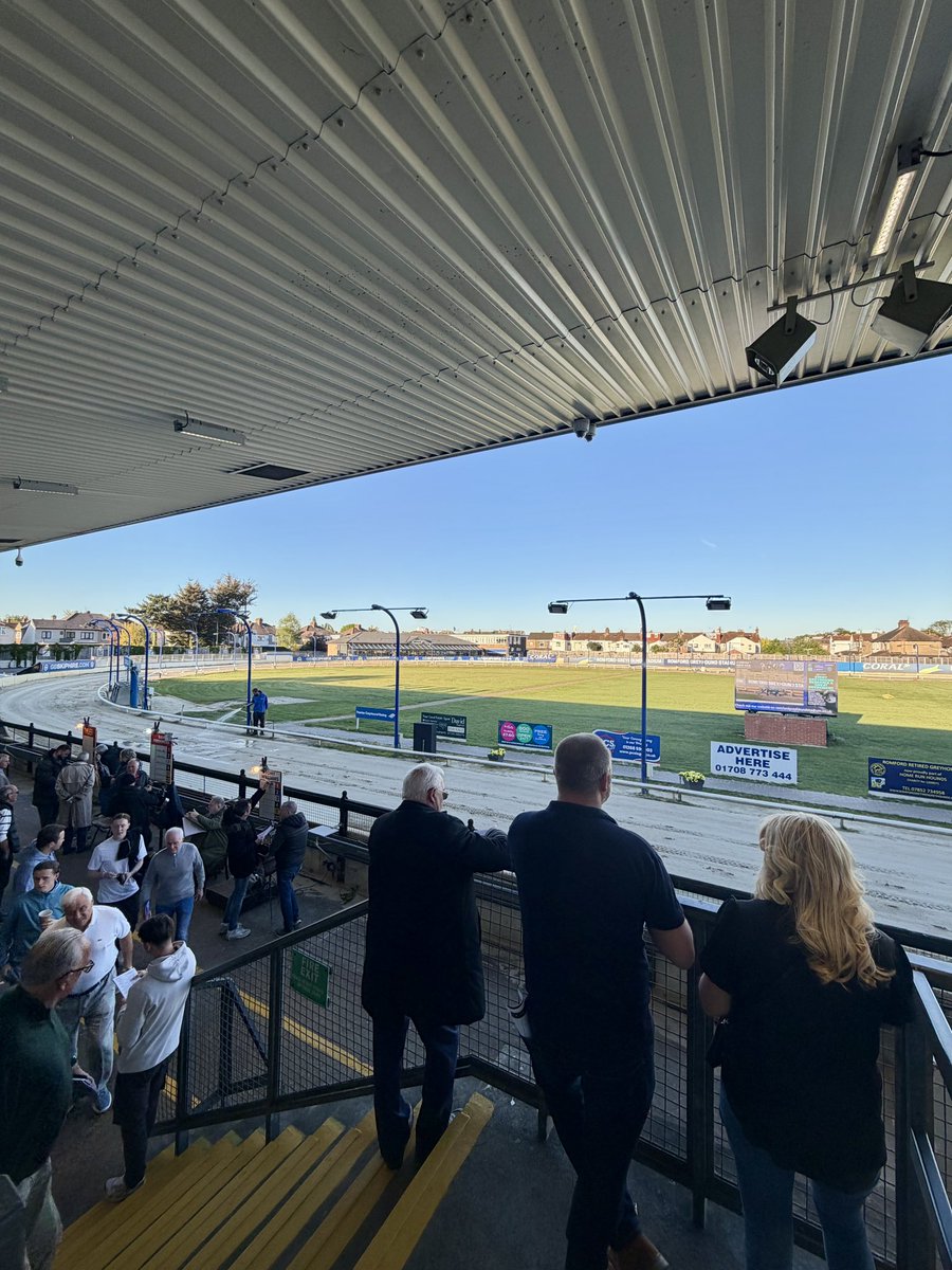 TheGreyhoundZone tweet media