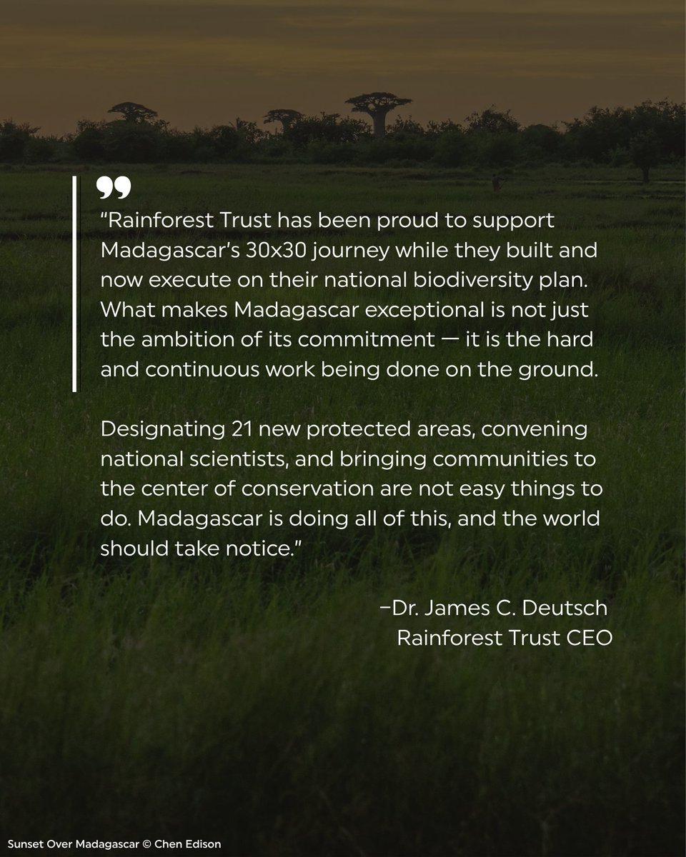 Madagascar has unveiled its landmark 30x30 Biodiversity Plan 🌍

Home to 5% of Earth’s species (90% found nowhere else!), the stakes for biodiversity couldn’t be higher

Rainforest Trust is proud to support this extraordinary commitment 💚

Learn more: bit.ly/rtmadagascar
