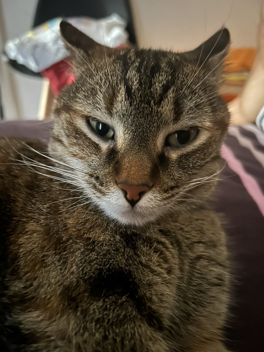 γυαλάκιας tweet media