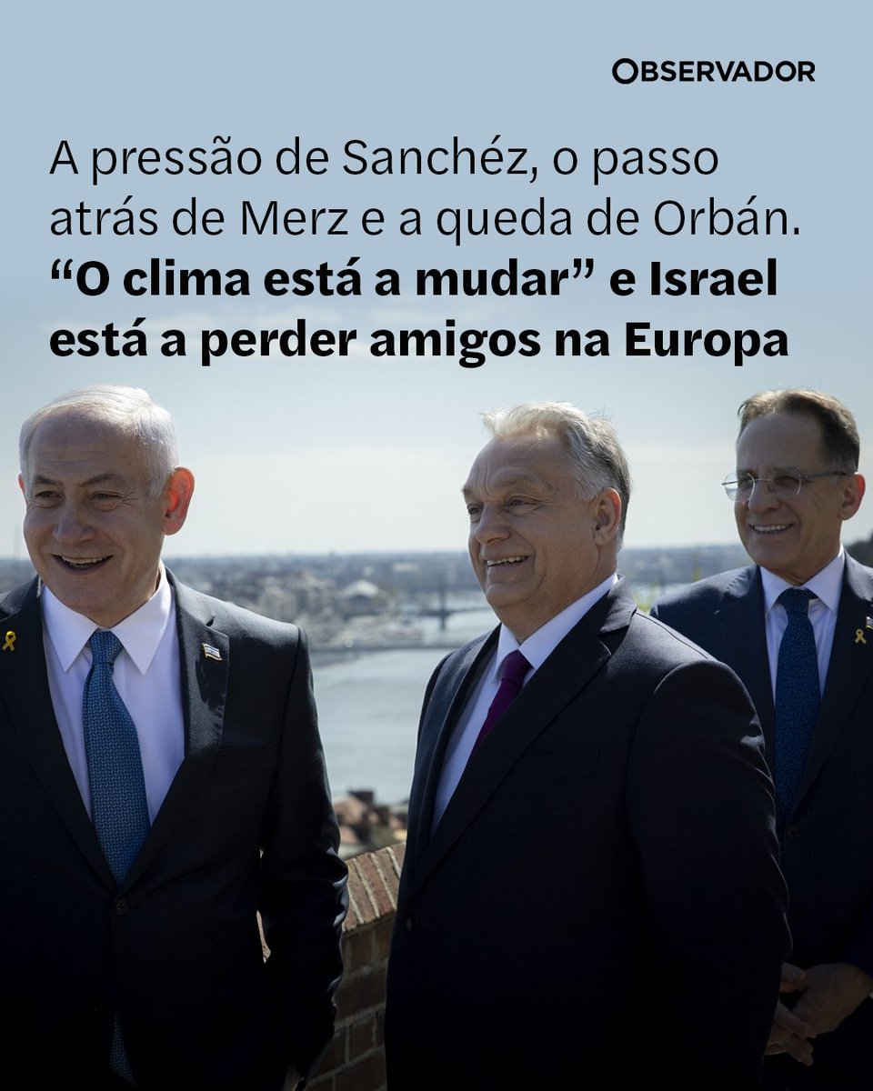 Observador tweet media