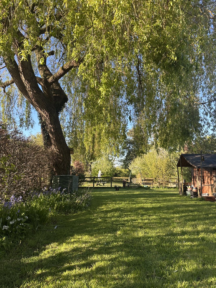 softparisian's tweet image. sometimes i forget this is my back garden