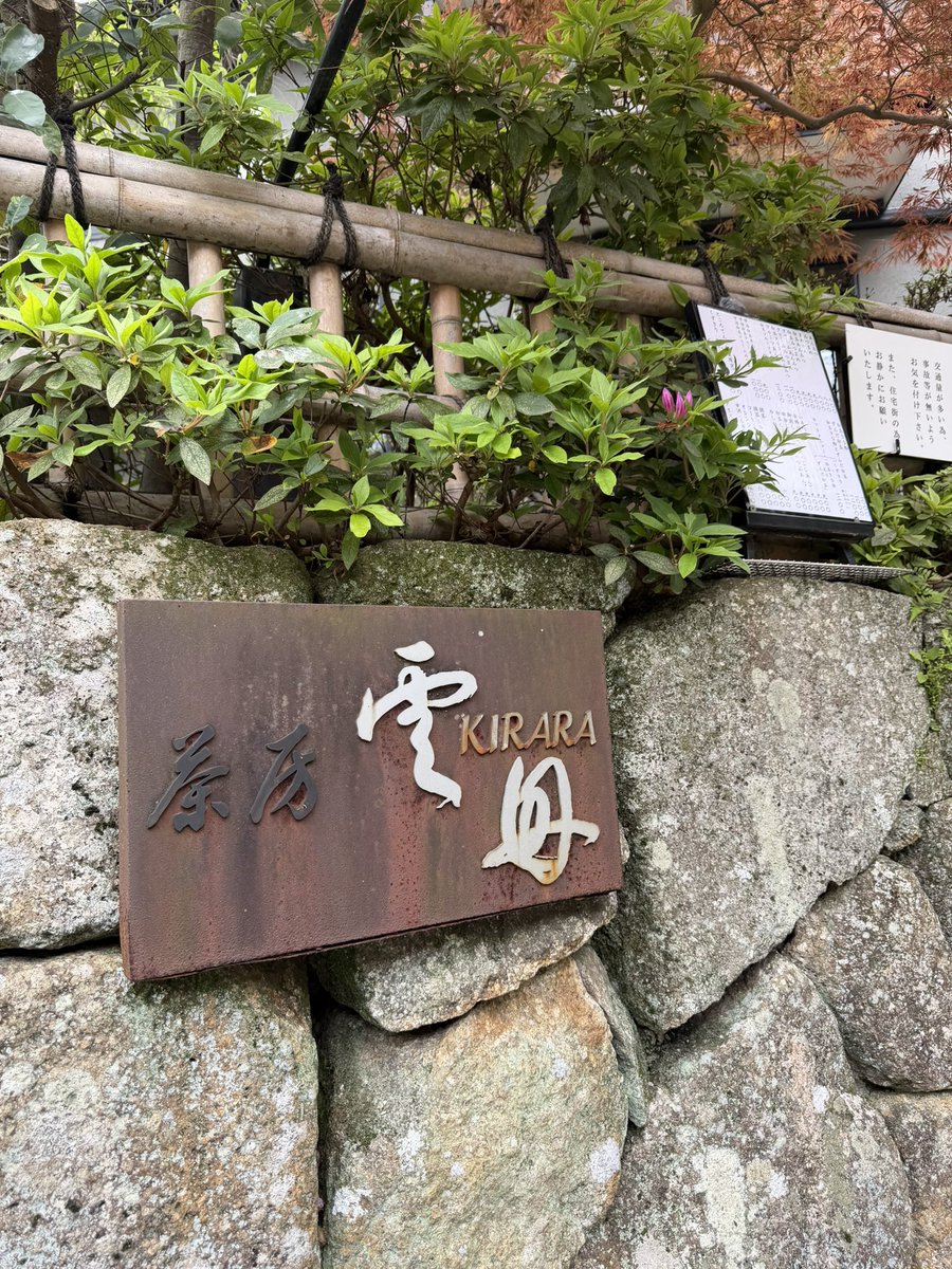 おもち tweet media