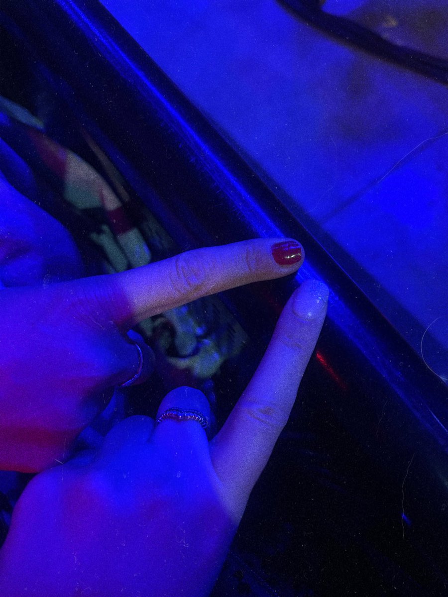 ℒαυrα. tweet media