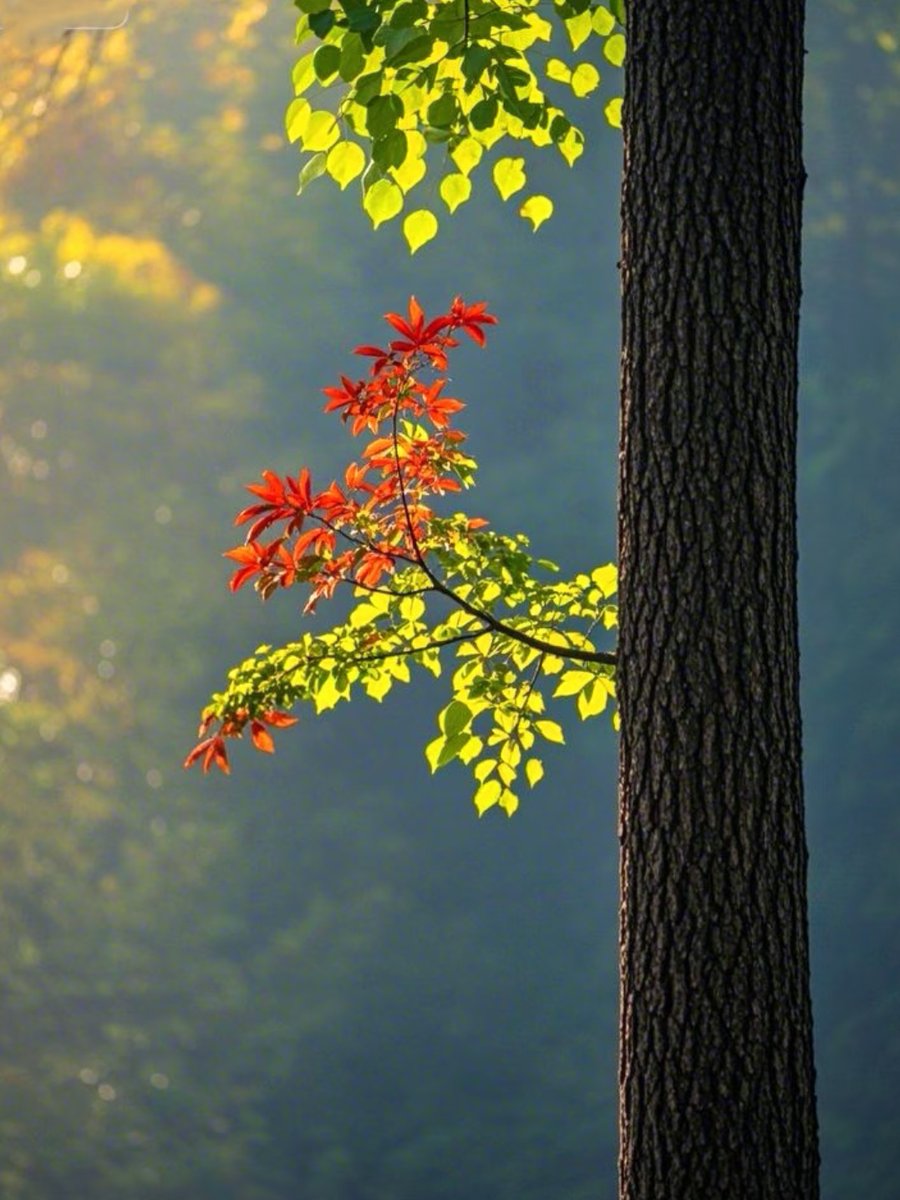 Leah Foley tweet media