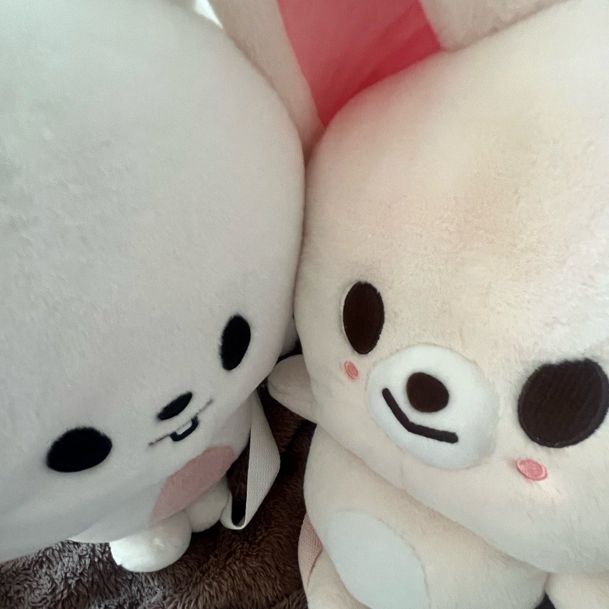 love4yji's tweet photo. 🐰🦊 https://t.co/SAutVdnCI1