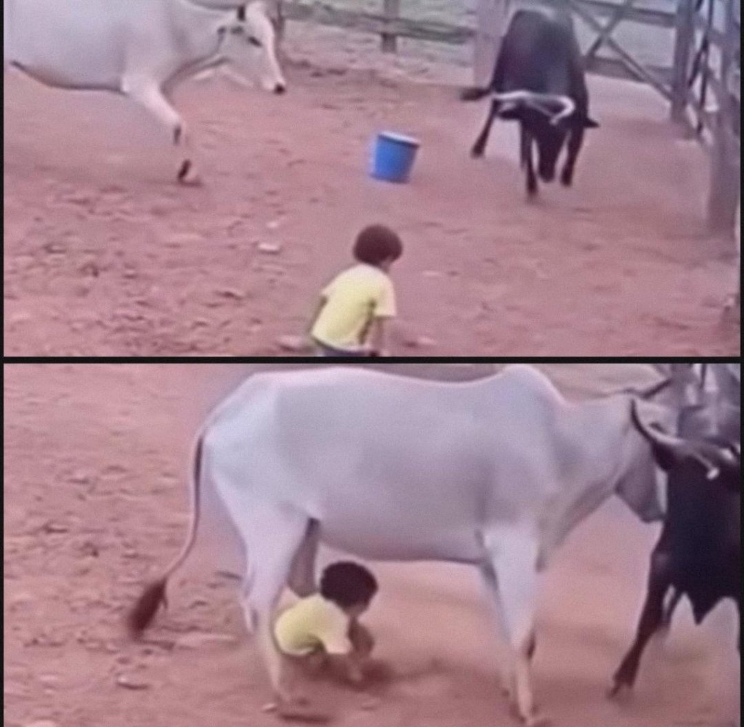 The Nigerian Farmer tweet media