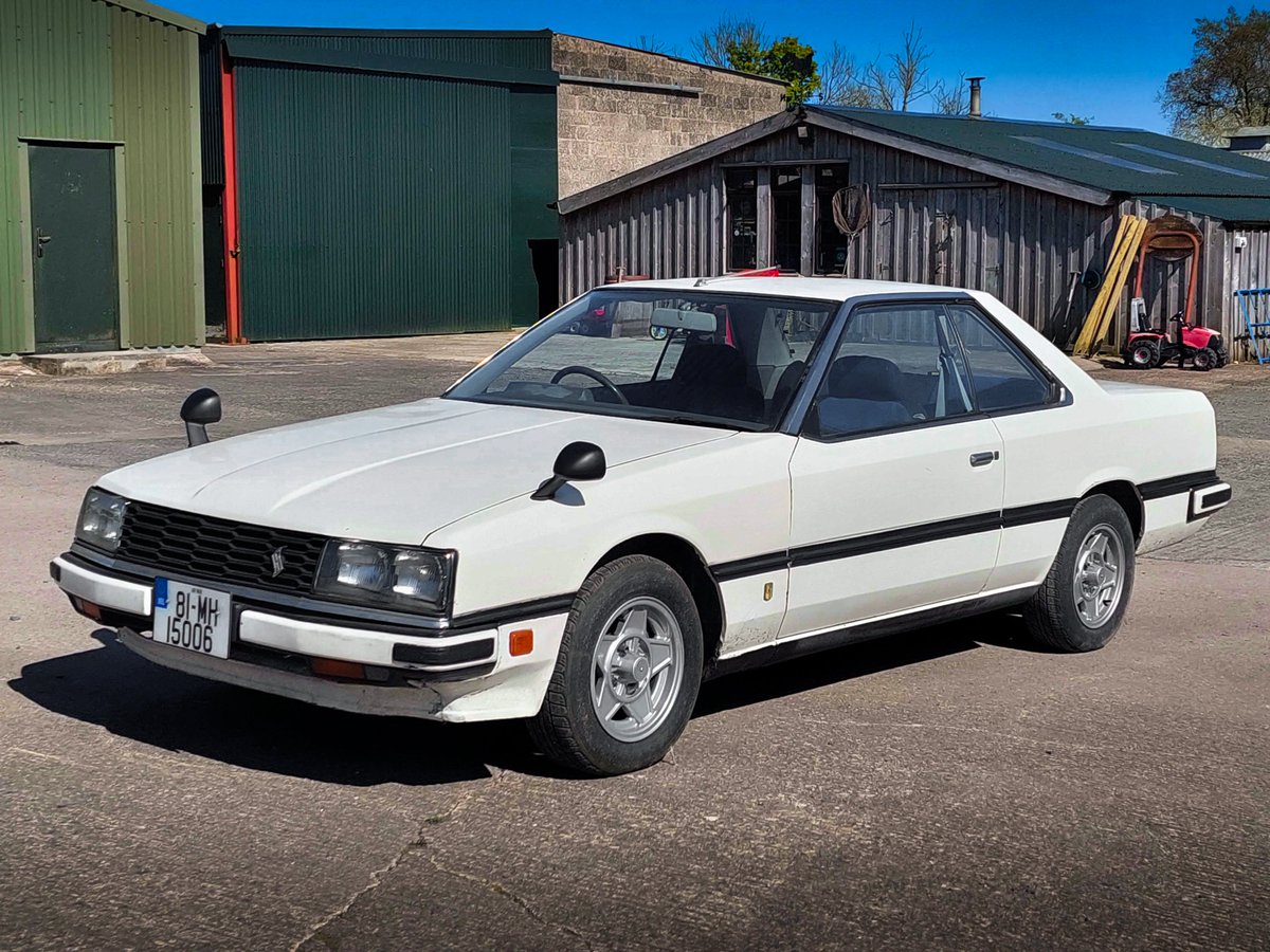 Shinyodd ✨ tweet media