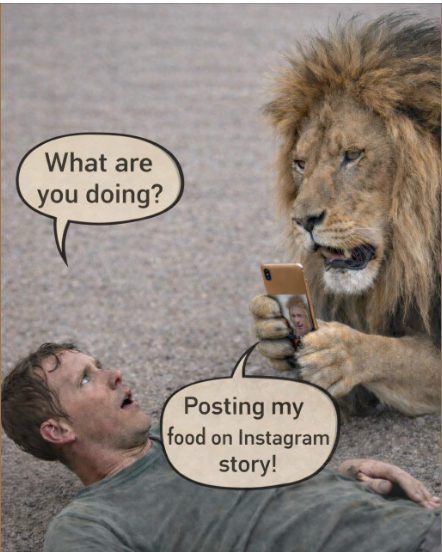 monibragau's tweet image. 😂 #Food