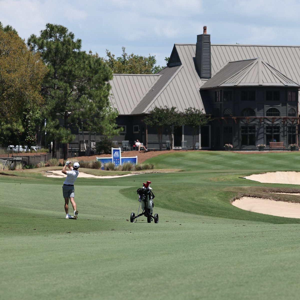 Louisville Men's Golf tweet media