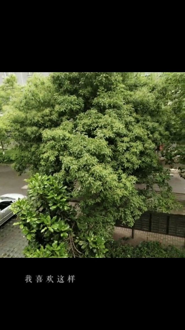 Daisy T Flowers tweet media