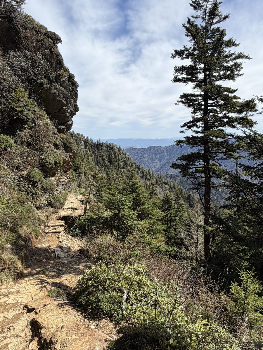 KennepohlEdward's tweet image. Second hike on Sunday
Glad we didn’t skip this one 😊
Alum Cave Trail to Mount Le Conte 🥾 😊
11.9 miles, 3071’ ele gain 
6229’ max ele
Great Smoky Mountains National Park
#travel #hiking #mountains #nature #Tennessee