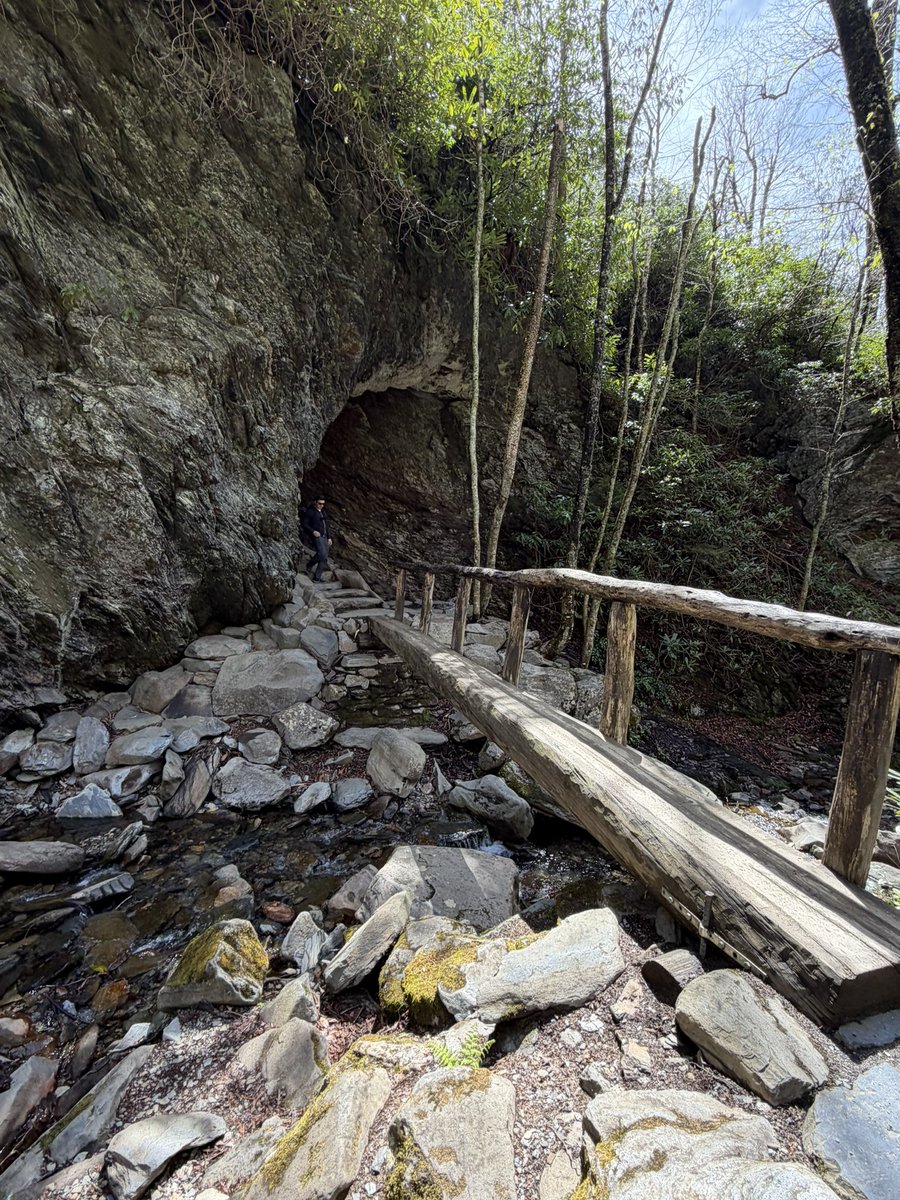 KennepohlEdward's tweet image. Second hike on Sunday
Glad we didn’t skip this one 😊
Alum Cave Trail to Mount Le Conte 🥾 😊
11.9 miles, 3071’ ele gain 
6229’ max ele
Great Smoky Mountains National Park
#travel #hiking #mountains #nature #Tennessee