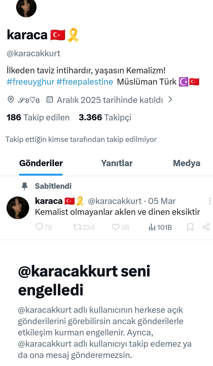 Kürdiye kürdü v2 tweet media