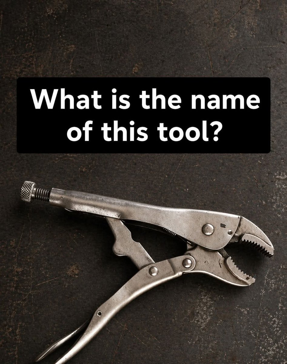 Alice 👑 tweet media