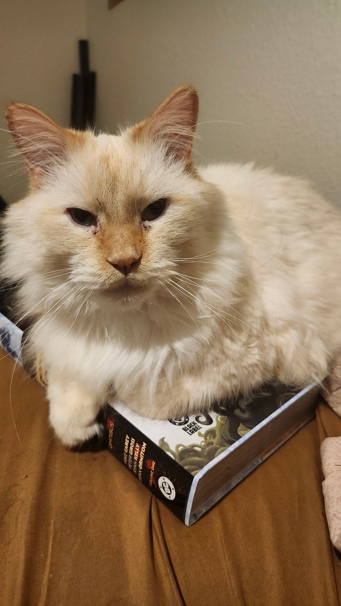 Sitting on my $90 comic like it means nothing