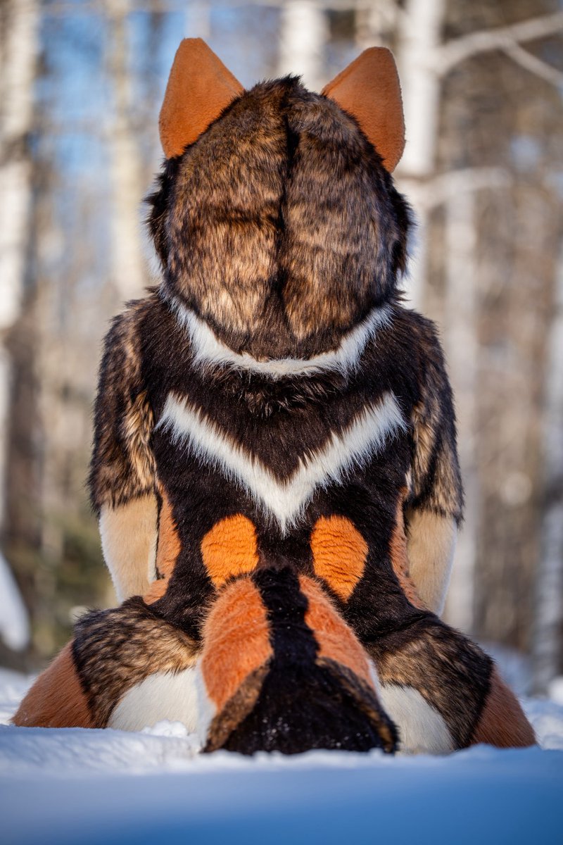 VellumArtwork's tweet photo. Blou got some amazing shots of me in the snow this last winter!

Suit by @ThatsFurredUp 
Photos by @BloudinRuo 

#furry #fursuit #fursuitfriday https://t.co/B7uoQZxzYE
