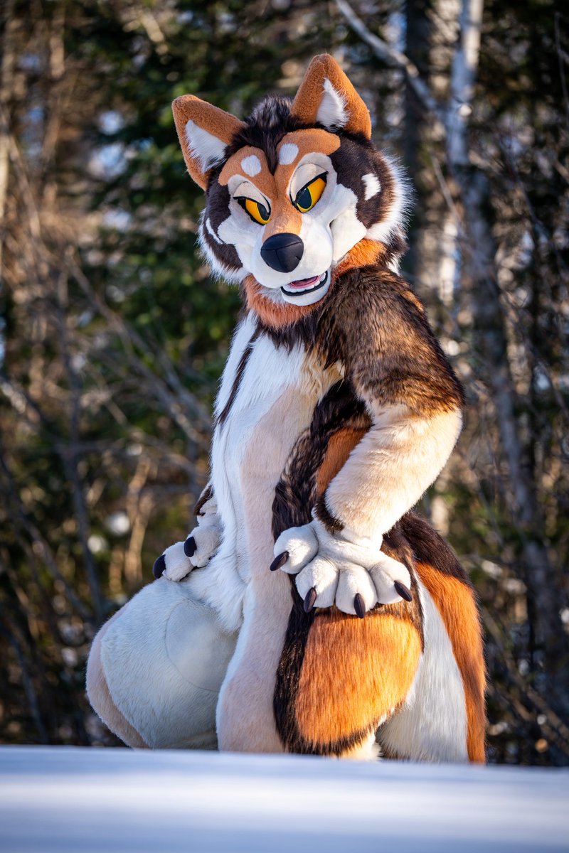 VellumArtwork's tweet photo. Blou got some amazing shots of me in the snow this last winter!

Suit by @ThatsFurredUp 
Photos by @BloudinRuo 

#furry #fursuit #fursuitfriday https://t.co/B7uoQZxzYE
