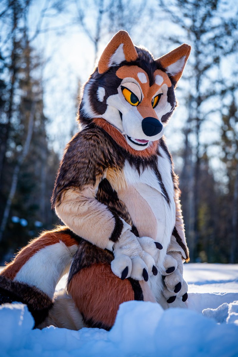 VellumArtwork's tweet photo. Blou got some amazing shots of me in the snow this last winter!

Suit by @ThatsFurredUp 
Photos by @BloudinRuo 

#furry #fursuit #fursuitfriday https://t.co/B7uoQZxzYE