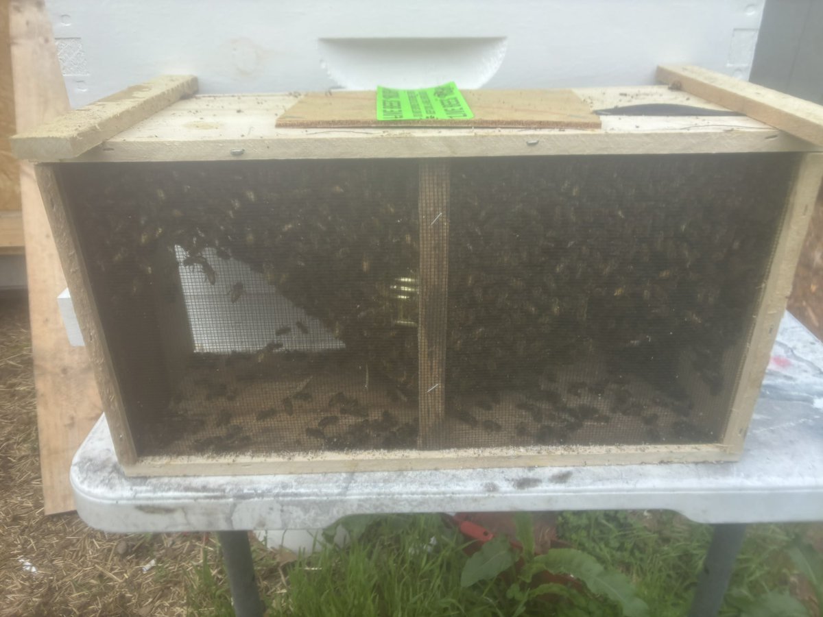 ZZZocrates tweet media