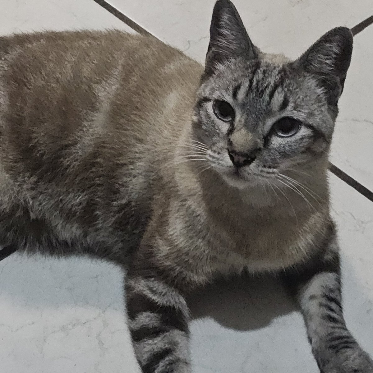 michmaxxing tweet media