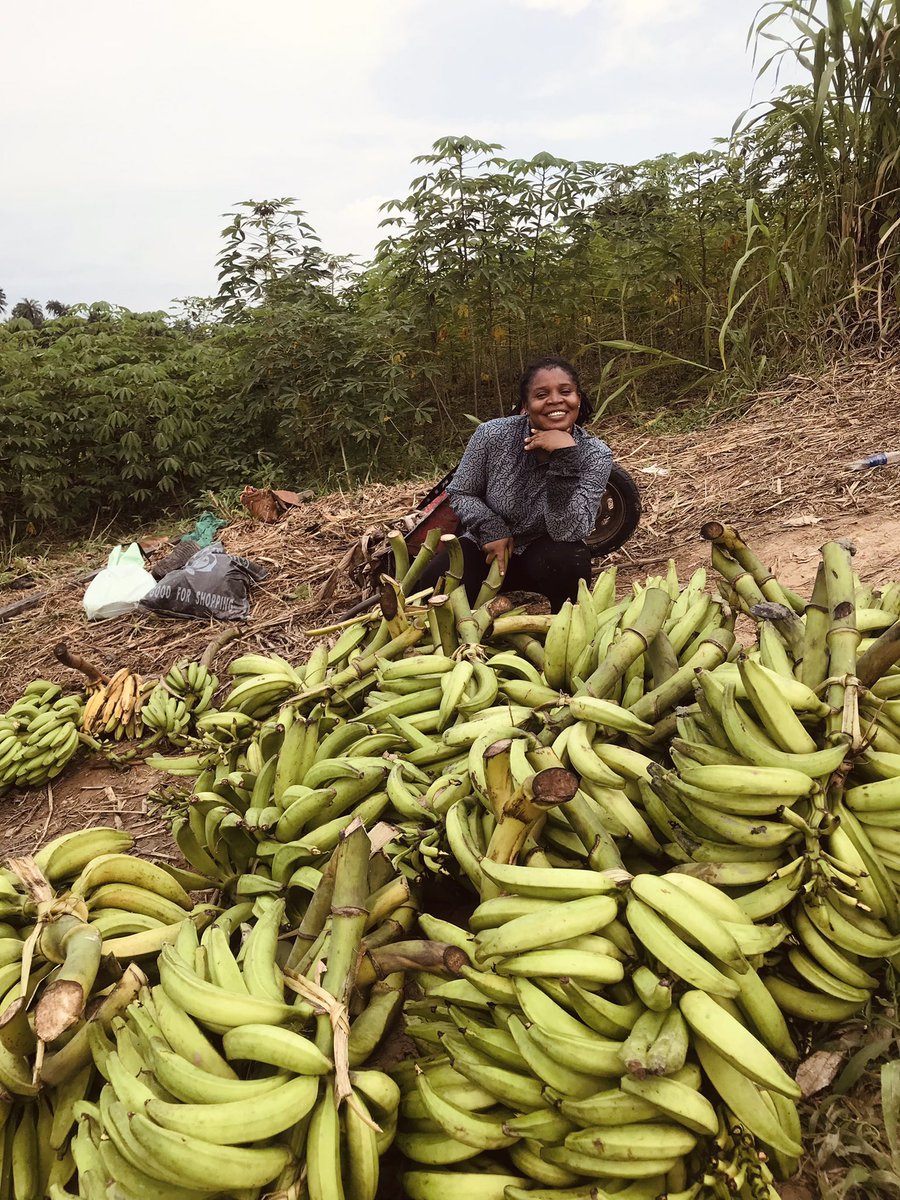 Enibo Albert tweet media