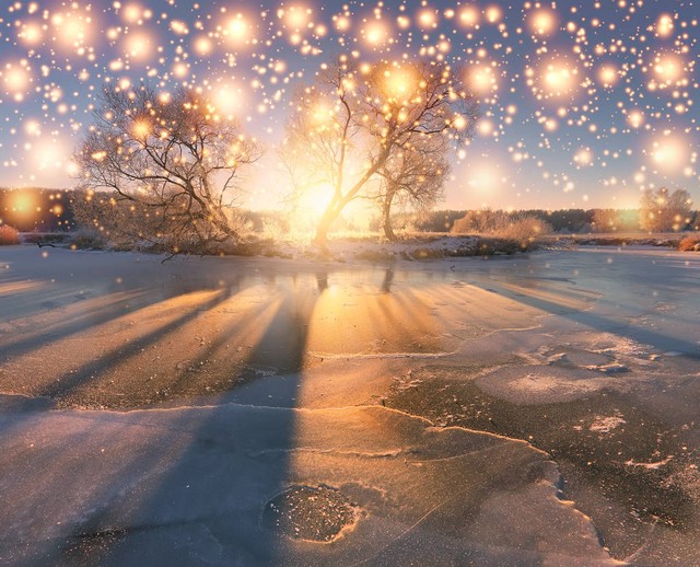 ReginaShagimardanova tweet media