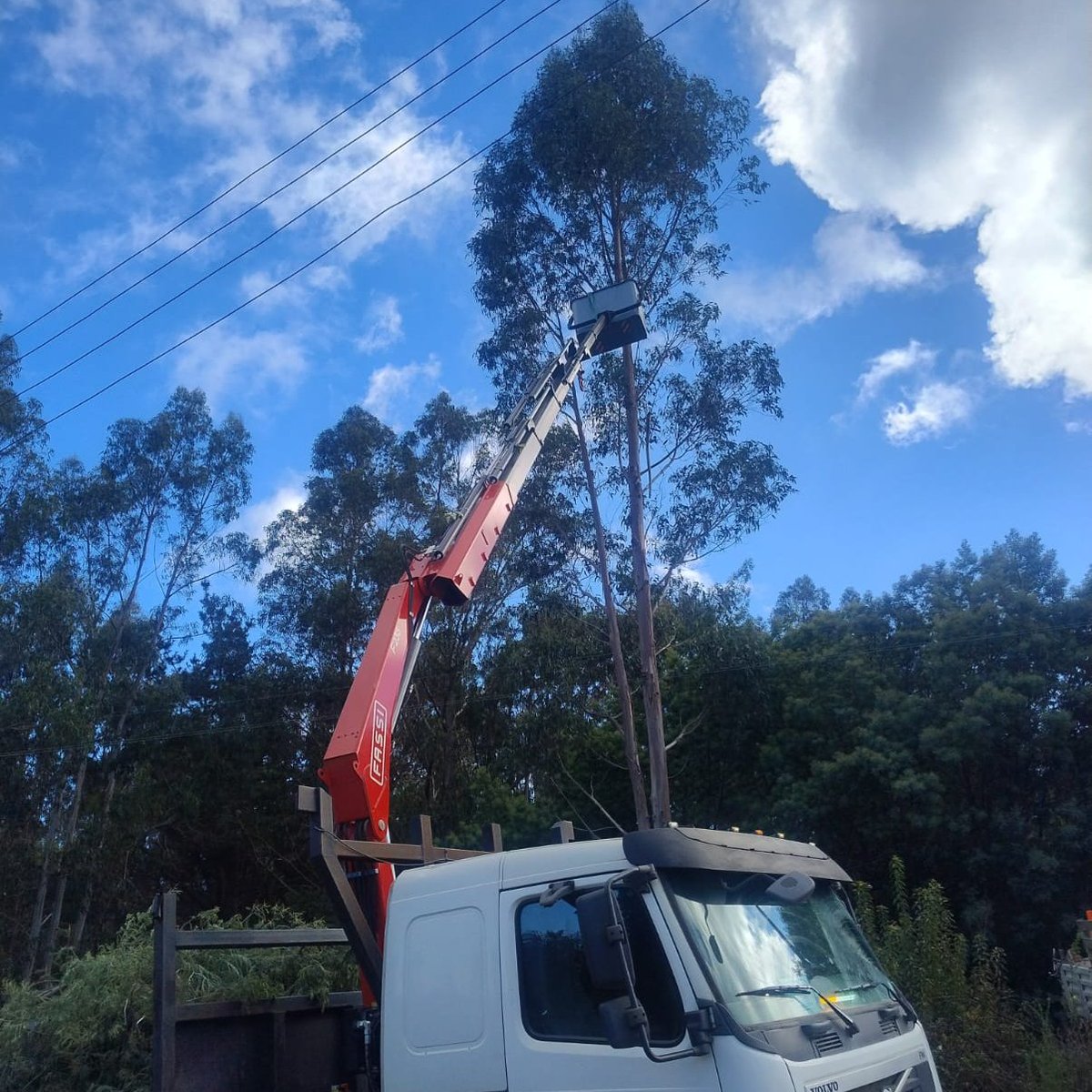 CGE_Clientes's tweet photo. Nuestras brigadas 👷🏻‍♂️ realizan trabajos de despeje de vegetación cercana a líneas eléctricas en el Camino a Tumbes, en la comuna de #Talcahuano. Estas labores benefician la continuidad del suministro eléctrico ⚡ #PlanInviernoCGE https://t.co/NUIF8UKlSm