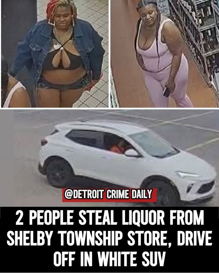 Tippy Maxwell tweet media