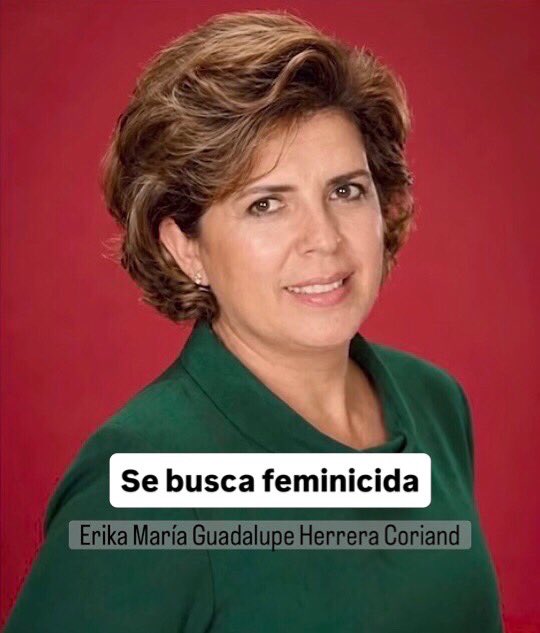 Renata Villarreal tweet media