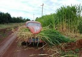 Pérolas do Chat do Broxada Sinistra (@chatbroxada) on Twitter photo 