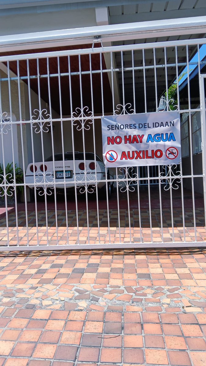 Mary Triny Zea tweet media