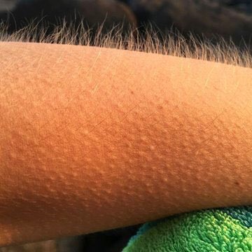 *Piertotum Locomotor!* // Eu assistindo pela milésima vez