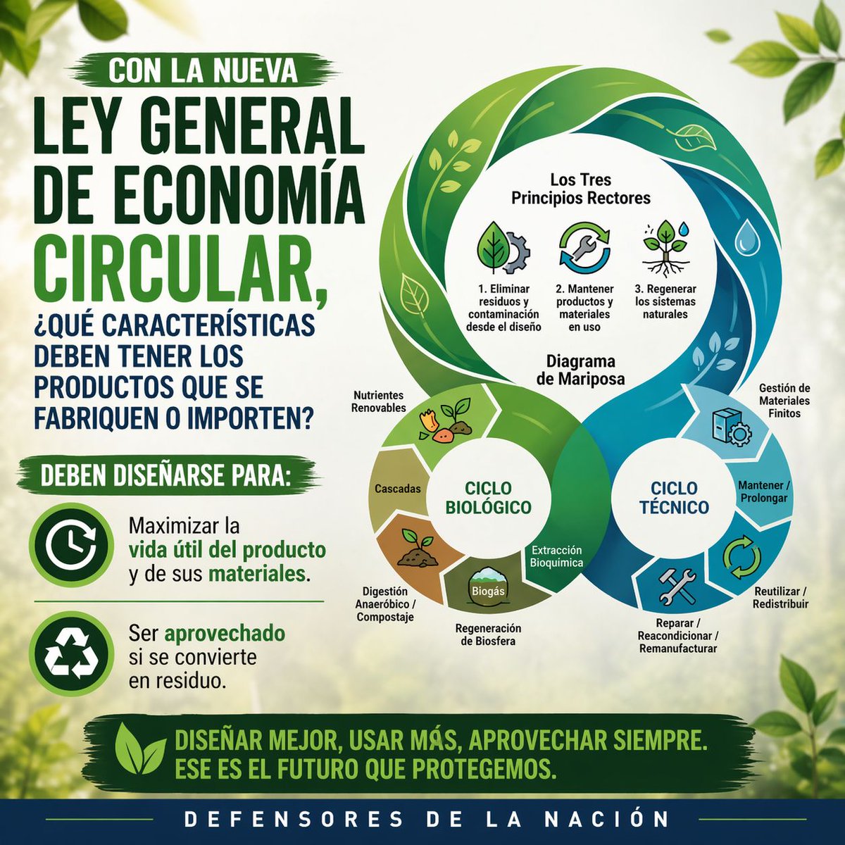 ReneSGalindo's tweet photo. Con la nueva Ley General de Economía Circular, ¿qué características deben tener los productos que se fabriquen o importen?
 
Deben diseñarse para:
-maximizar la vida útil del producto y de sus materiales
-ser aprovechado si se convierte en residuo
 
Defensores de la Nación
 🌱👊🏽 https://t.co/CnmD2AYqAl