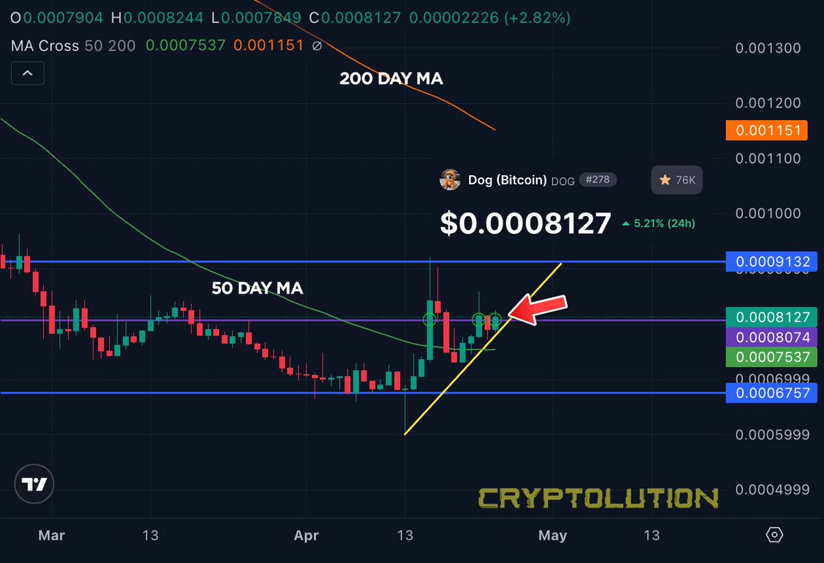 For 8 consecutive days, $DOG (Bitcoin) has held above its 50-day moving average, transforming prior resistance into structural support. This marks a decisive shift in momentum, ending a 117-day bearish regime.

Despite persistent attempts to suppress it below an $80M market cap,