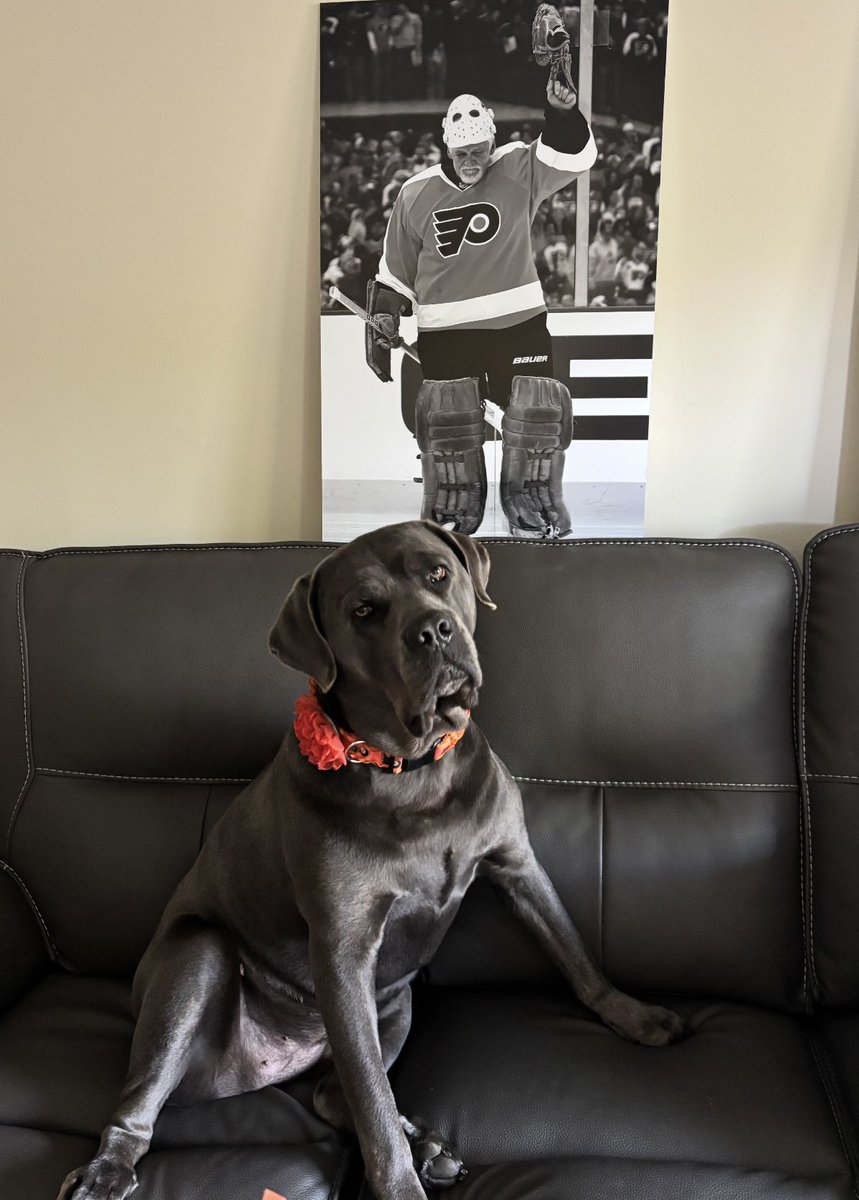 giniparent's tweet image. Sophia BELIEVES!🧡
Let’s GOOOO @NHLFlyers!
#believe #ignitetheorange