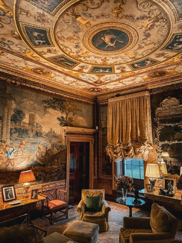 𝕬𝖑𝖊𝖐𝖘 𝕰𝖎𝖓𝖆𝖗𝖗 tweet media