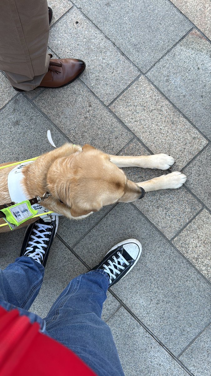 NathanKenMajor's tweet photo. Laying down on the job, tut tut. https://t.co/wqfRYq0zr8